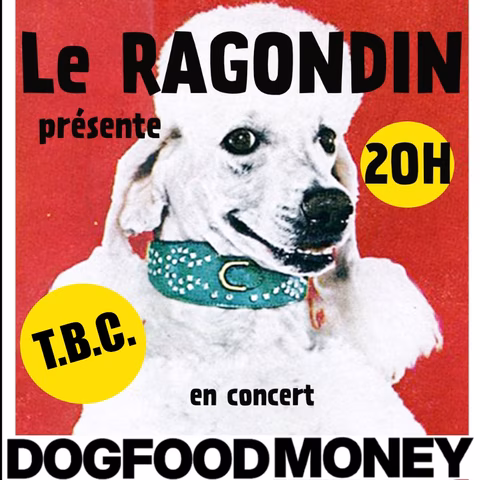 DOGFOODMONEY